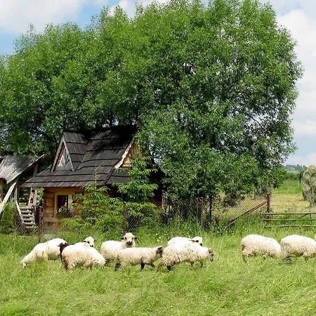 Domek alpejski Luxury Gorsky